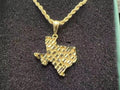 Texas Nugget Necklace